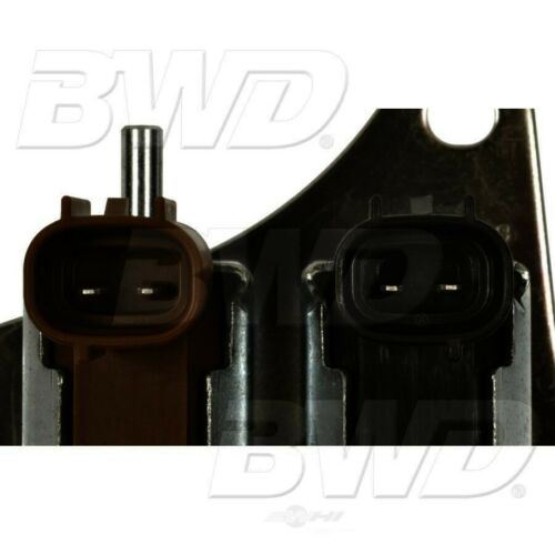 Solenoide de purga del recipiente de vapor BWD CP953