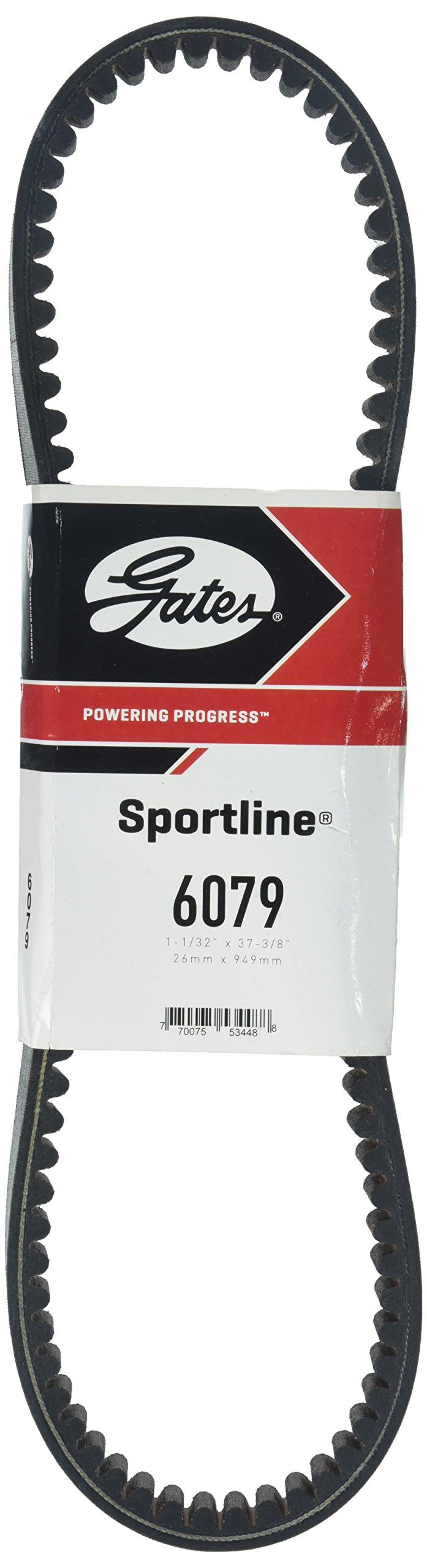 Portes 6079