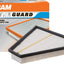 Fram CA10464 Air Filter