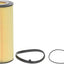 Fram CH10160 Filtro de aceite del motor