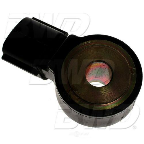 BWD S8731