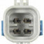 BWD PT5803 Oxygen Sensor Connector