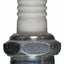 CAMPEÓN 854 (PACK DE 4)