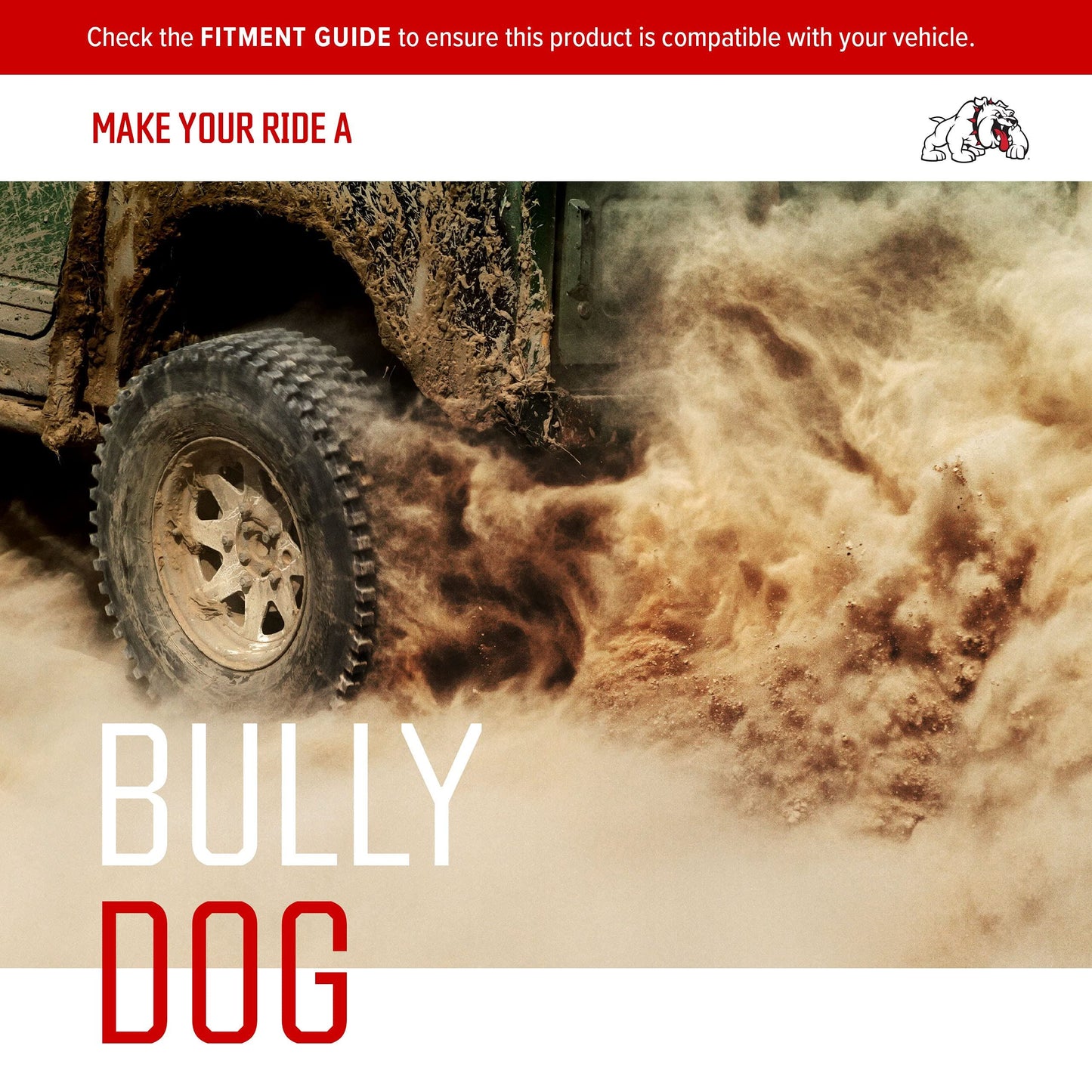 CHIEN BULLY 40470