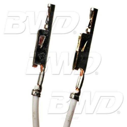 BWD WT5635