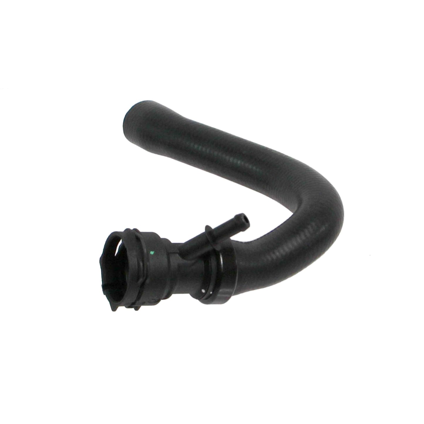 REIN CHR0397