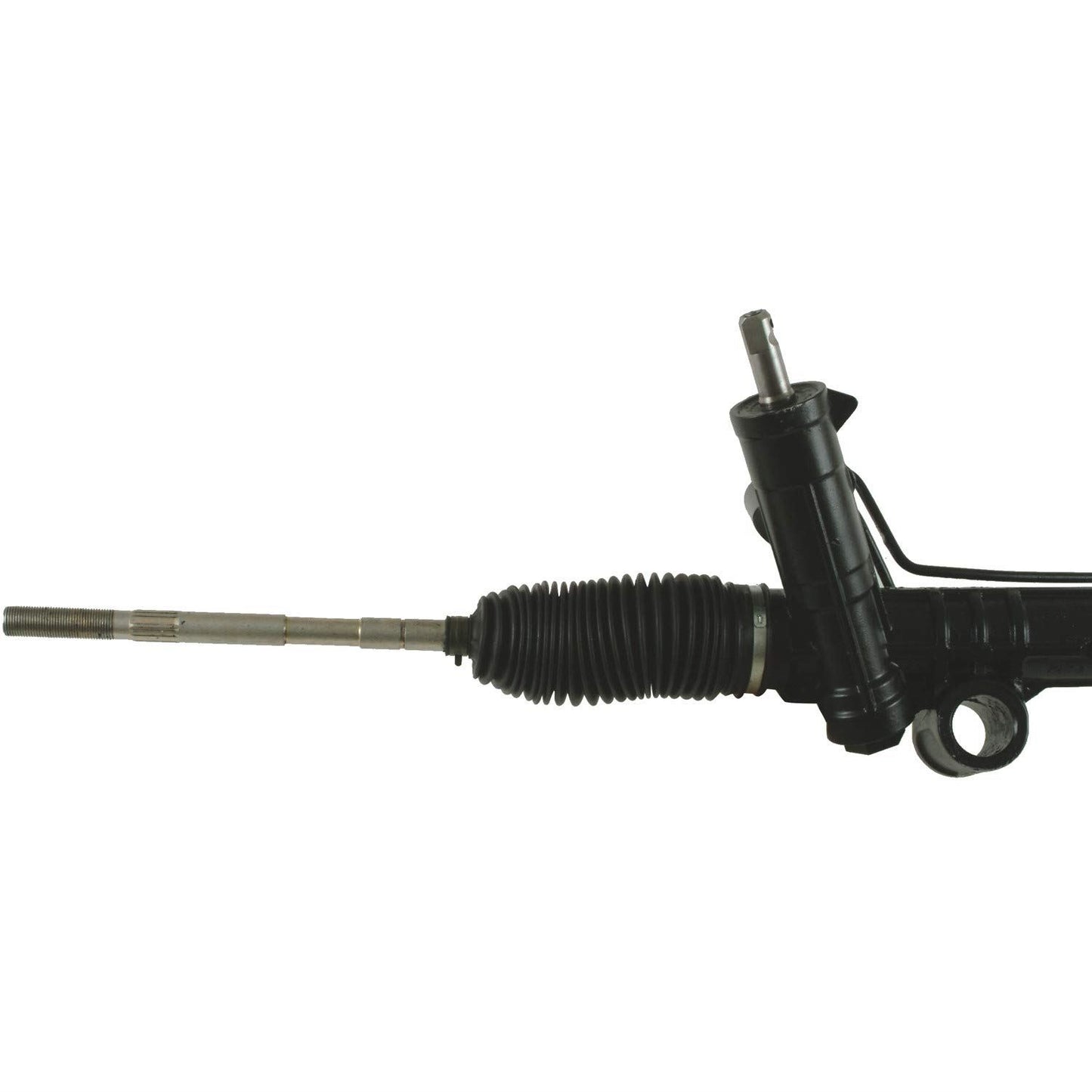 CARDÓN 223013
