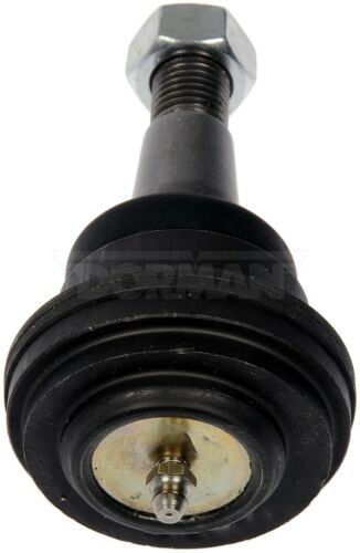 Dorman BJ81166PR