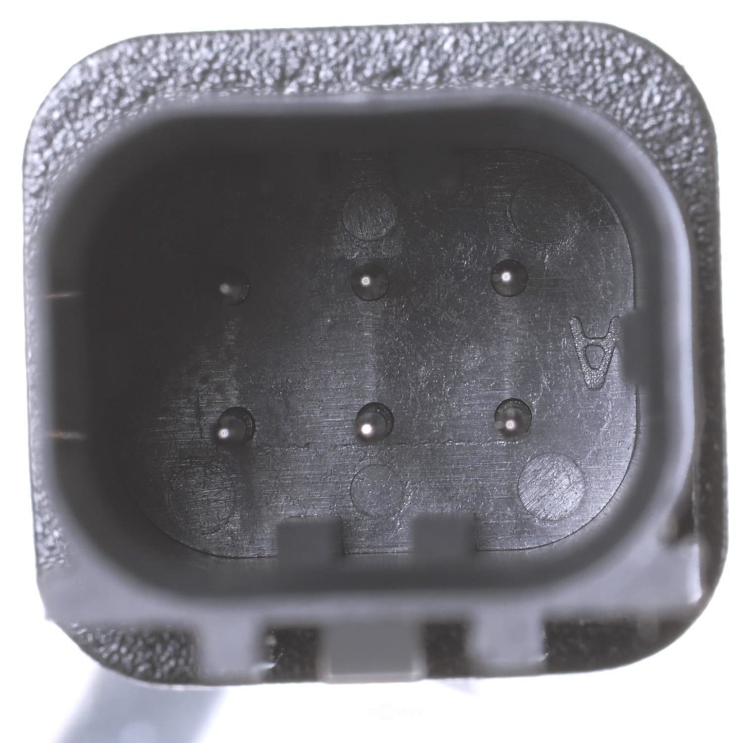 BWD PAN179 Park Assist Camera