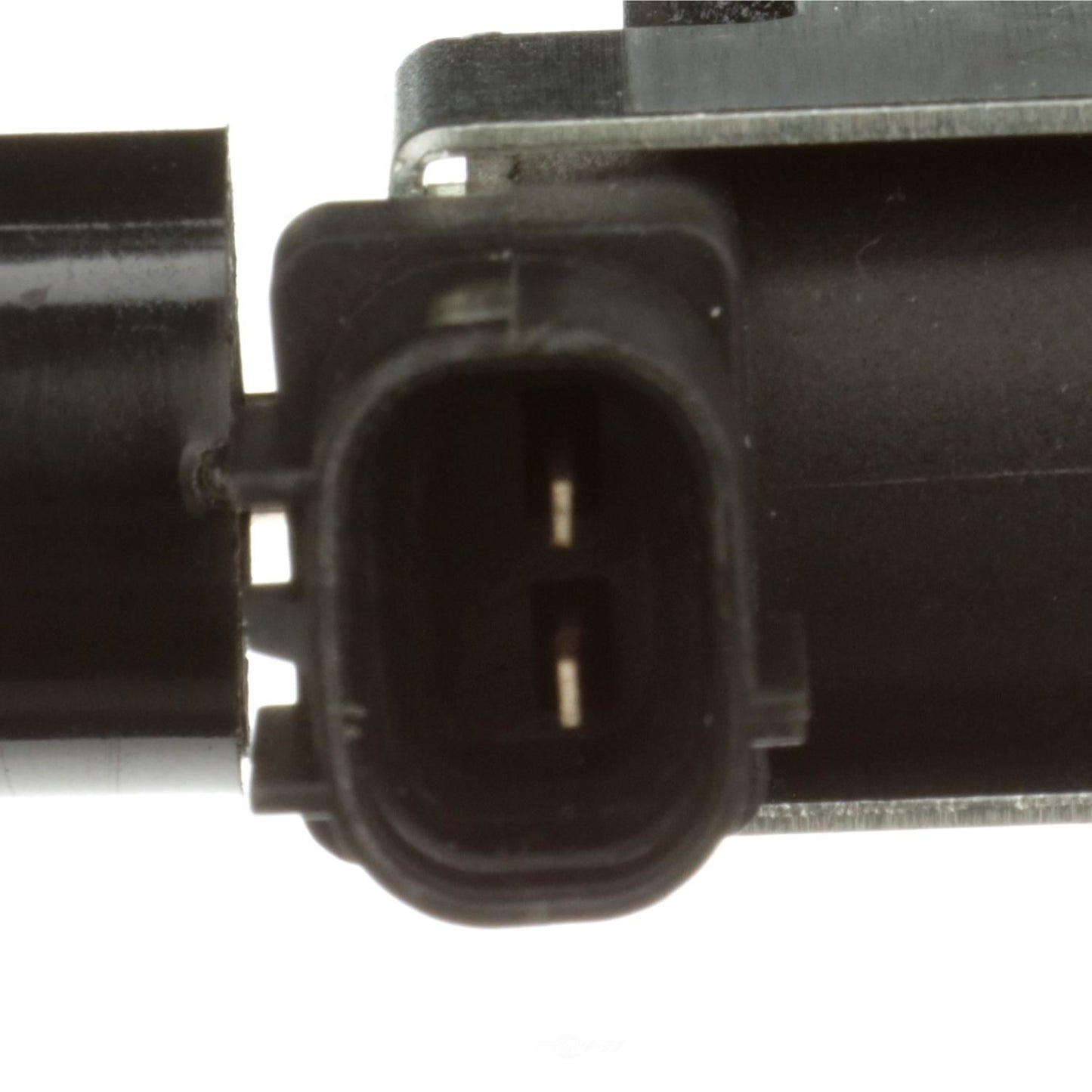 BWD CP1010 Vapor Canister Purge Valve