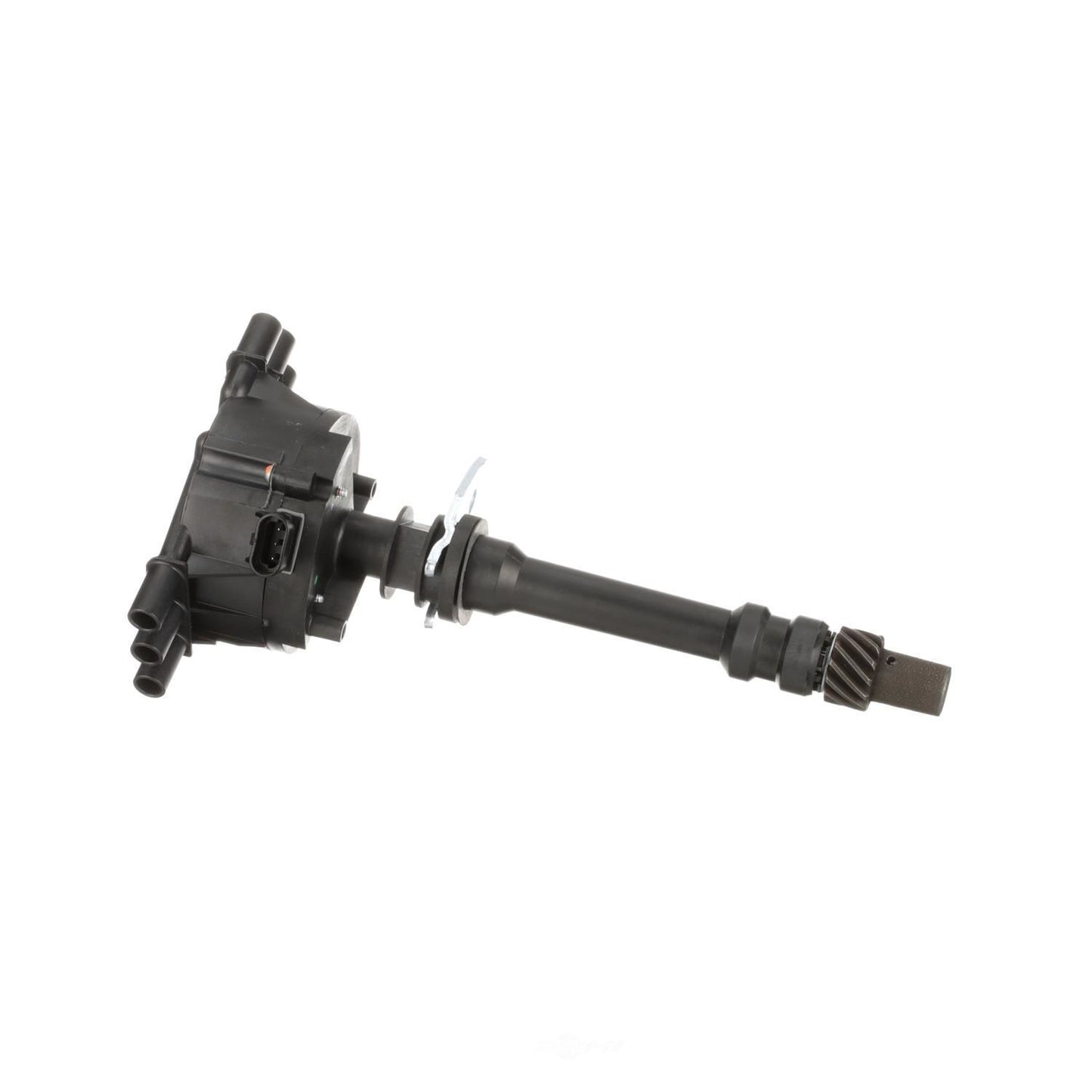 BWD DAA101 Distributor