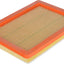 Fram CA12260 Air Filter