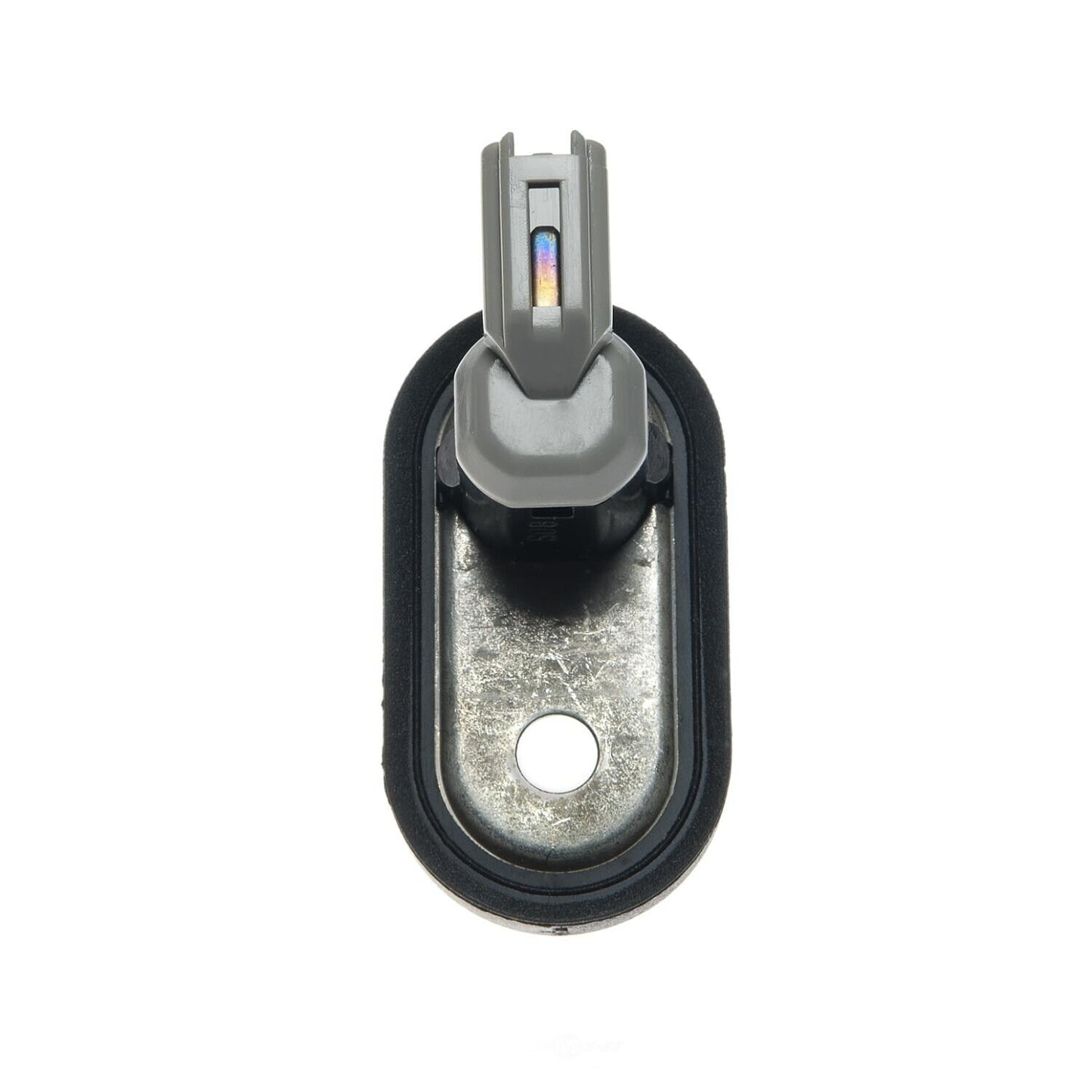 BWD DJS151 Door Jamb Switch