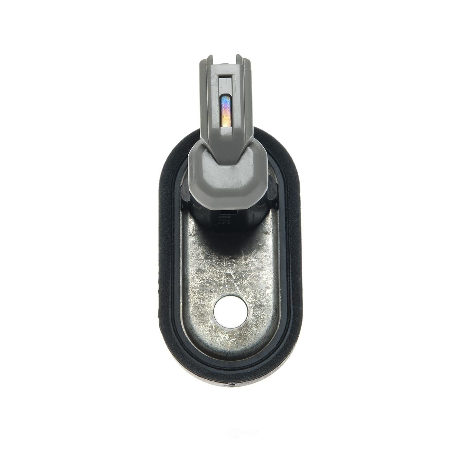 BWD DJS151 Door Jamb Switch
