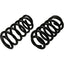 Moog 81735 Coil Spring Set