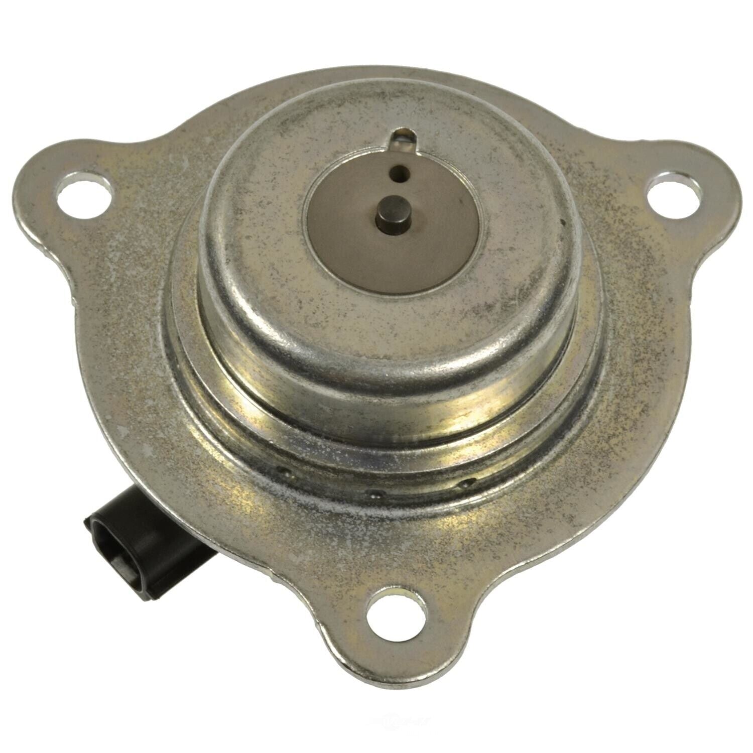 BWD VV1276 Engine Variable Valve Timing (VVT) Adjuster Magnet
