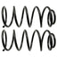 Moog 81728 Coil Spring Set
