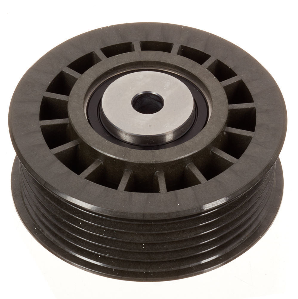 INA FP00251 Accessory Drive Belt Idler Assembly