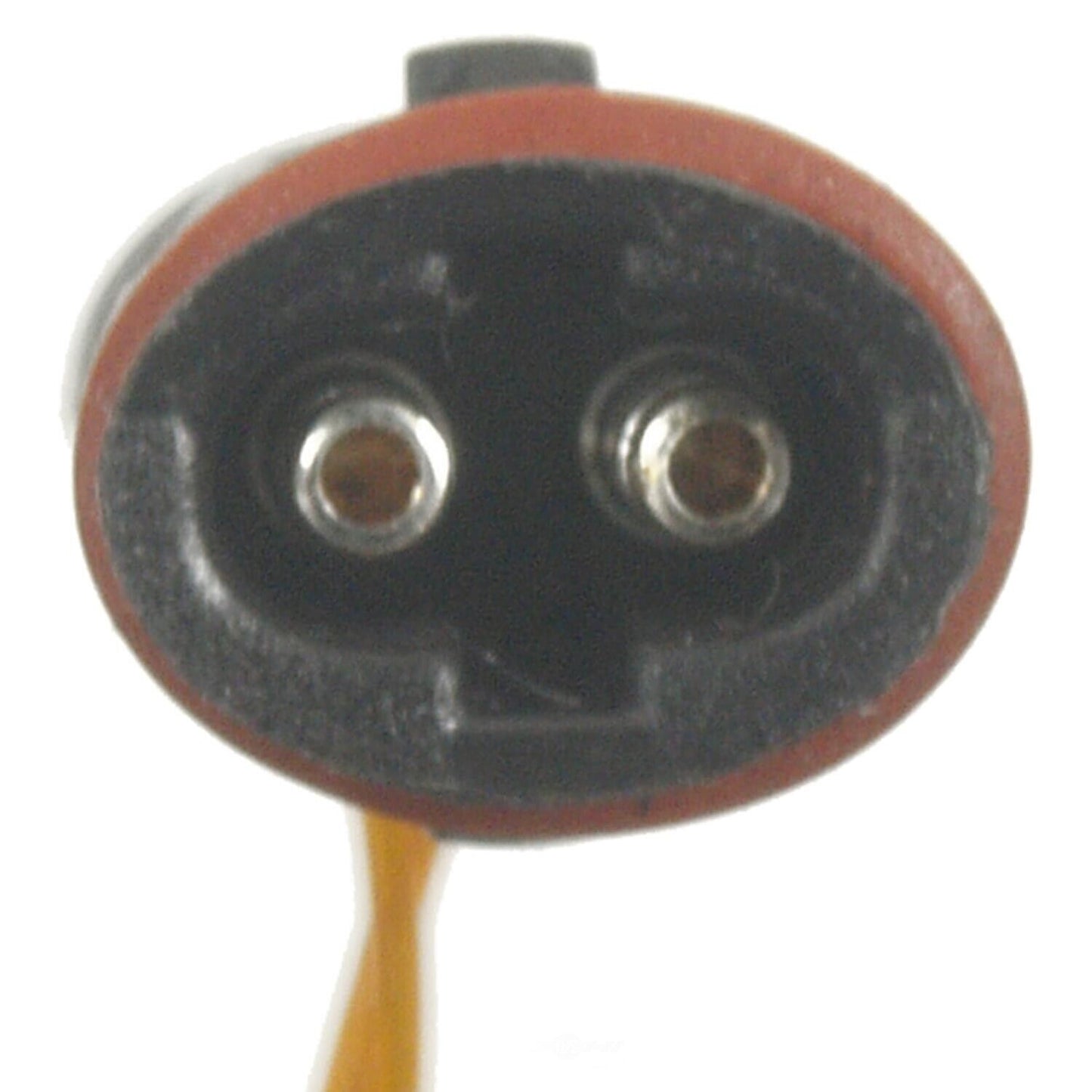 BWD WS377 Disc Brake Pad Wear Sensor