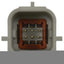 BWD PAN102 Park Assist Camera