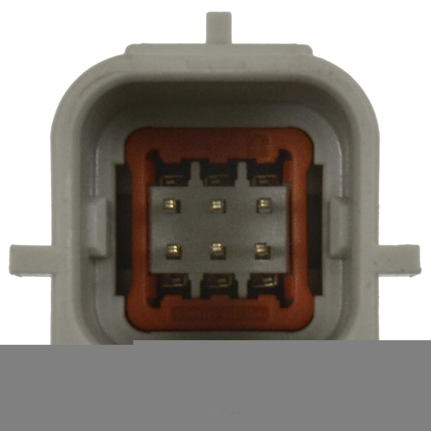 BWD PAN102 Park Assist Camera