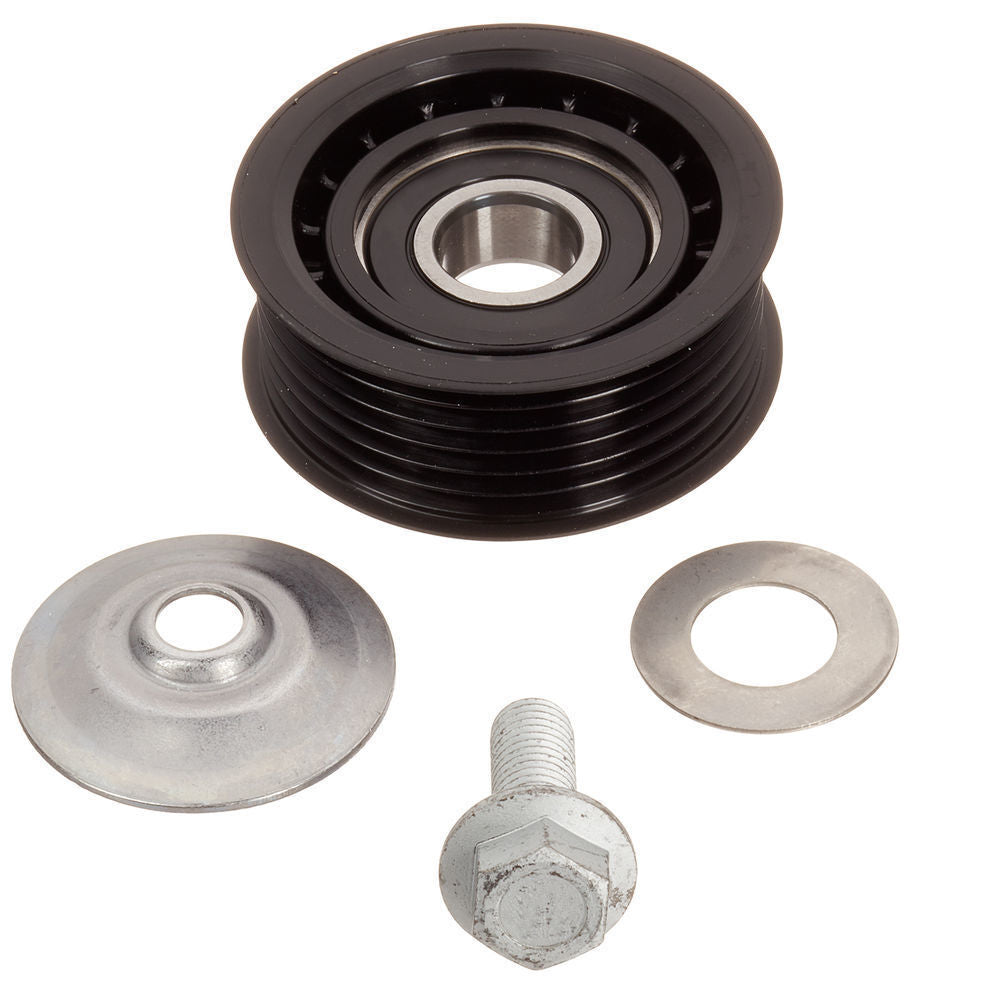 INA FP03253 Accessory Drive Belt Idler Pulley