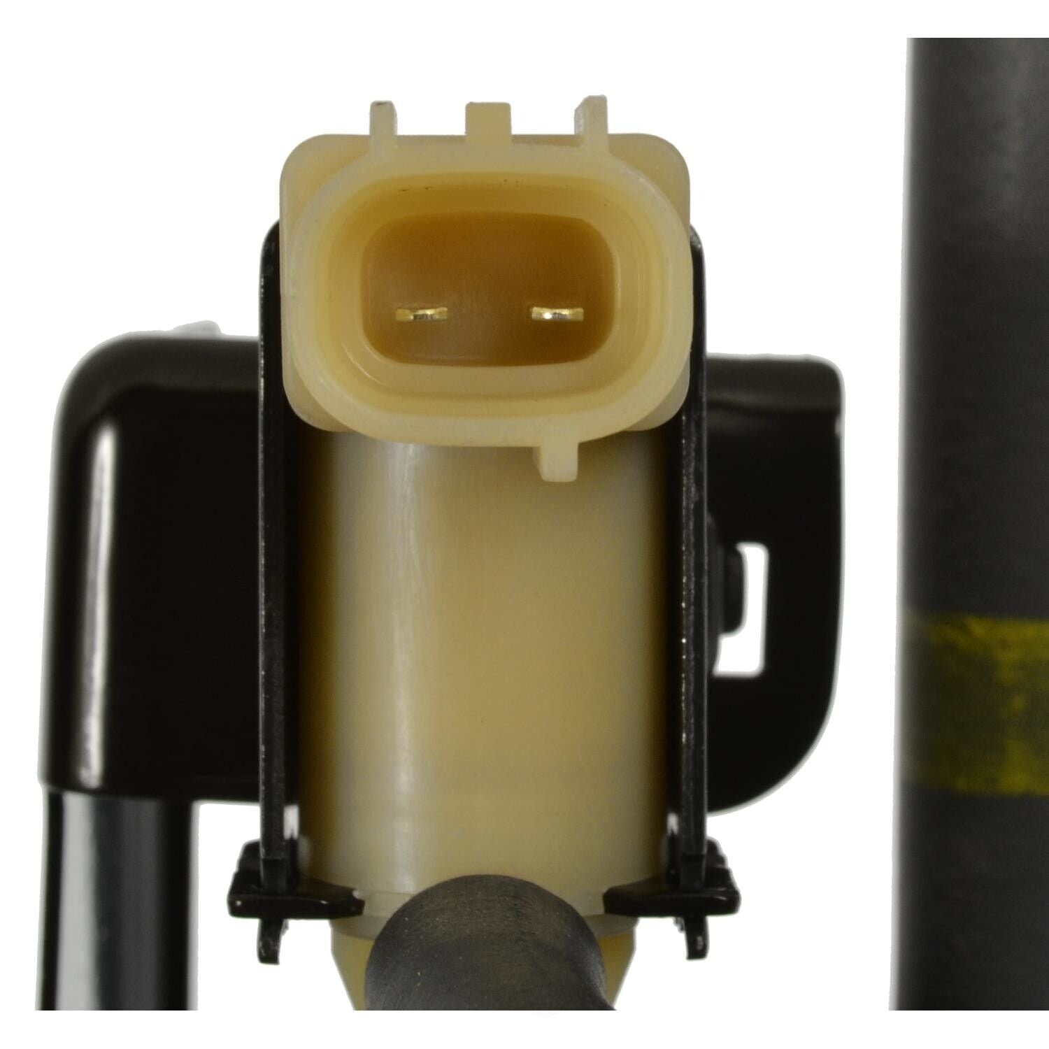 BWD CP1587 Vapor Canister