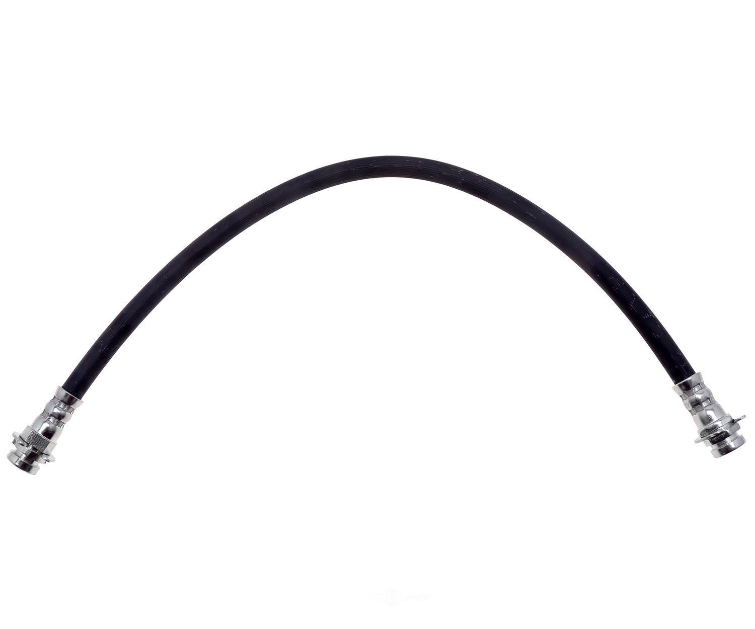 Raybestos BH384469 Brake Hydraulic Hose