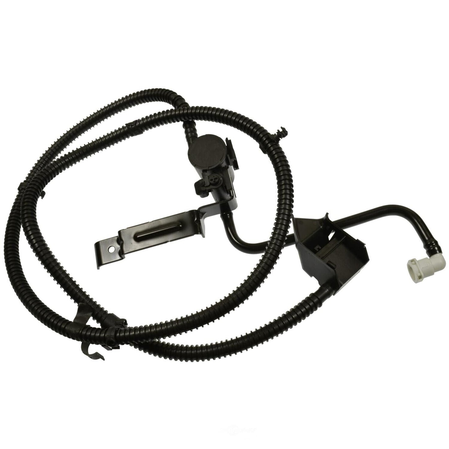 BWD CPV181 Vapor Canister Vent Solenoid