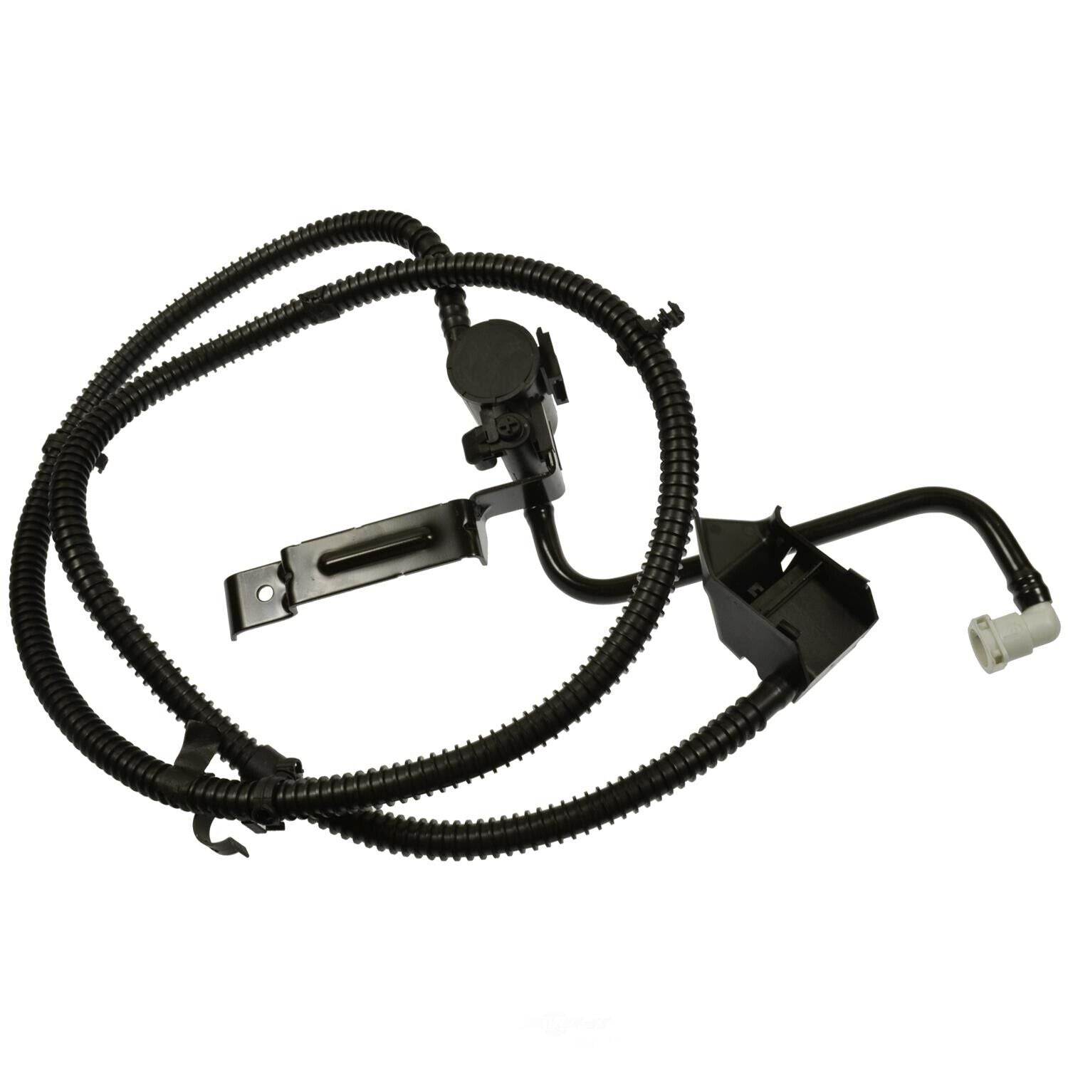 BWD CPV181 Vapor Canister Vent Solenoid