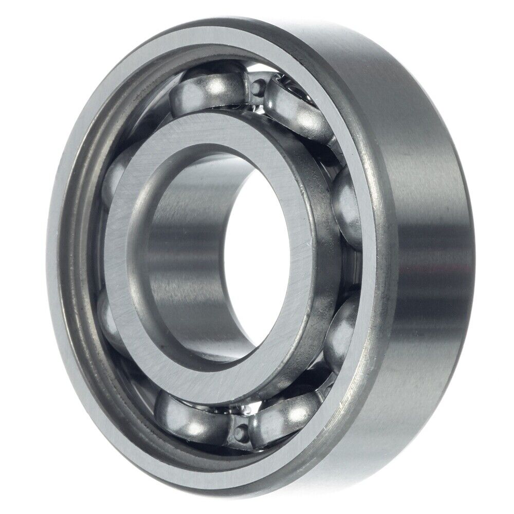 FAG 6006 Transfer Case Output Shaft Bearing