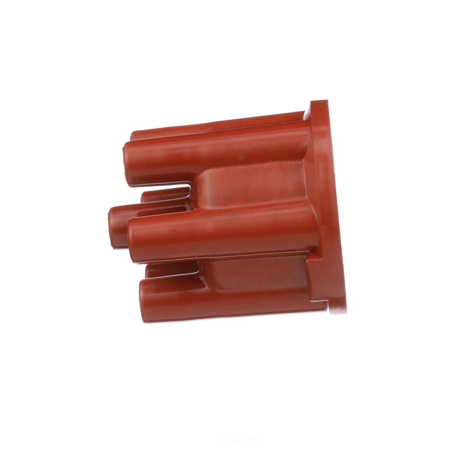 BWD C562 Distributor Cap