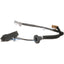 BWD LGS318 Liftgate Latch Release Switch