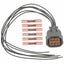 BWD PT2843 Electronic Throttle Body Actuator Connector