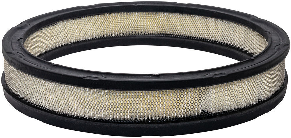 Baldwin PA10354 Air Filter