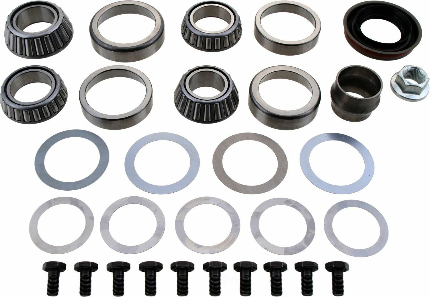 DANA Spicer 10040313 Differential Rebuild Kit