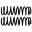 Moog 81723 Coil Spring Set