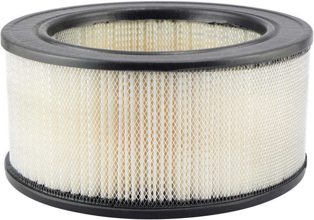 Baldwin PA1719 Air Filter