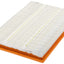Fram CA12375 Air Filter