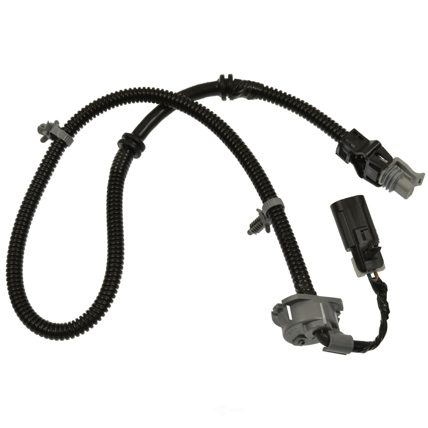 BWD ABH162 ABS Wheel Speed Sensor Wiring Harness
