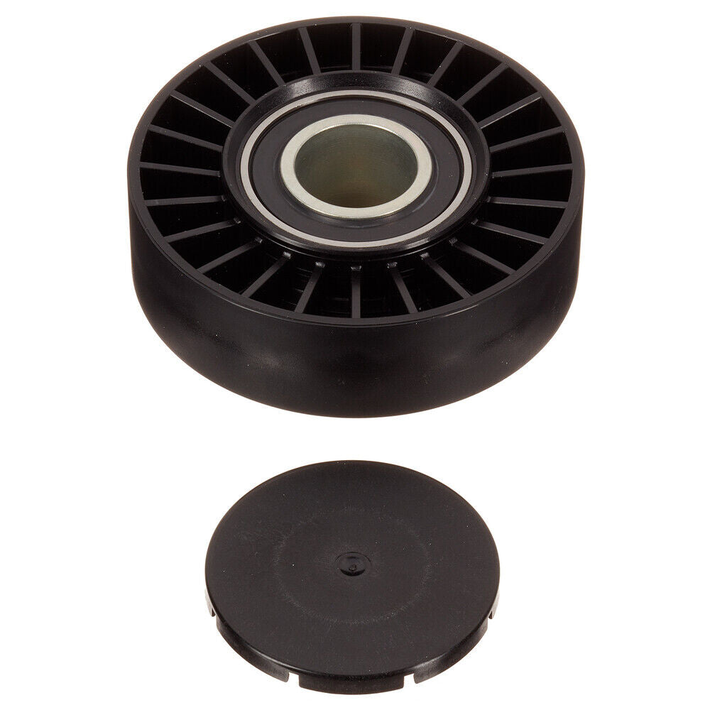 INA 532 0169 100 Accessory Drive Belt Idler Pulley