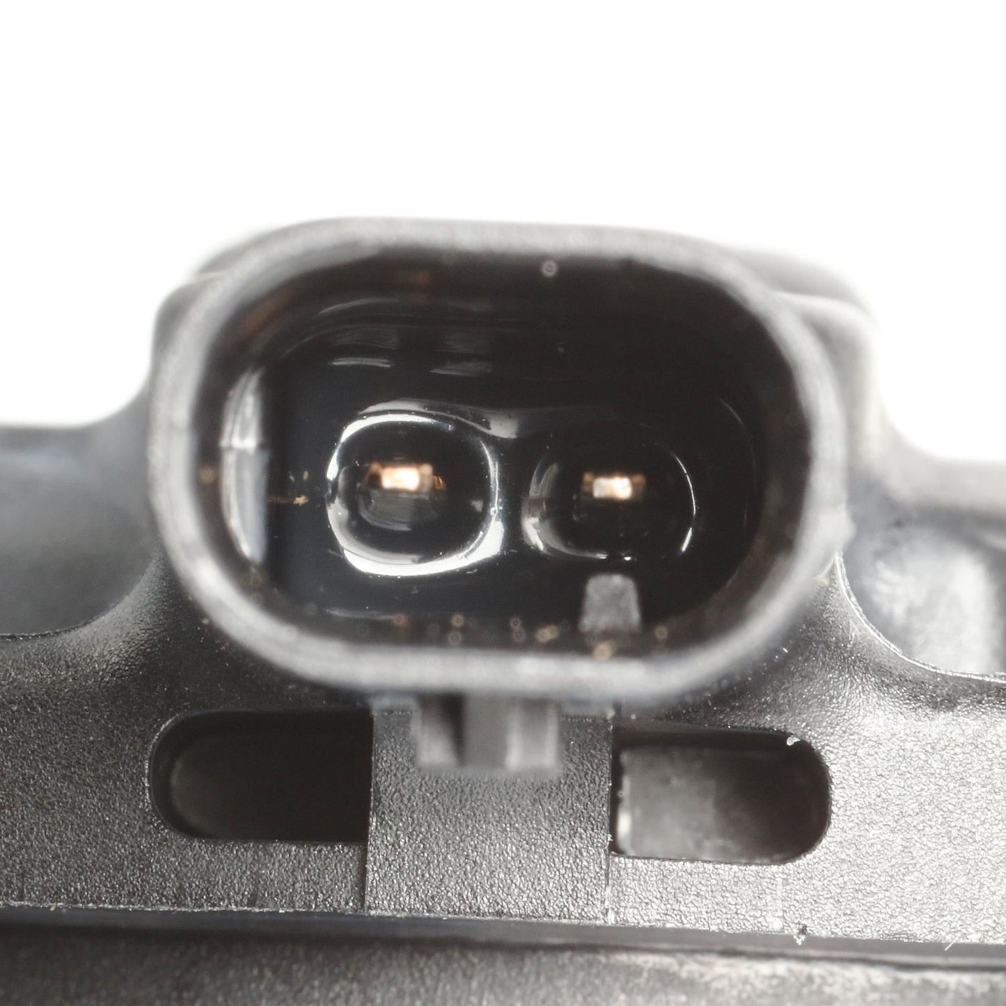 BWD VV1219 Engine Variable Valve Timing (VVT) Adjuster Magnet