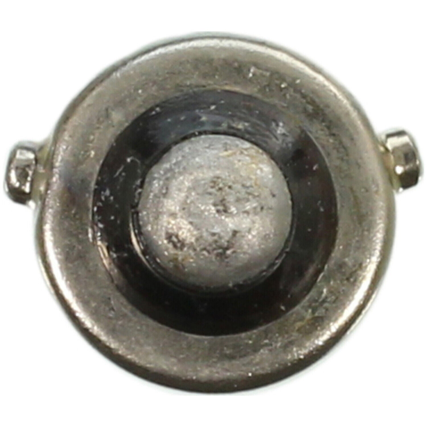 Wagner 68161 Parking Light Bulb