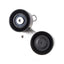 INA FT30074 Accessory Drive Belt Tensioner