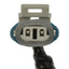 BWD ABH261 ABS Wheel Speed Sensor Wiring Harness