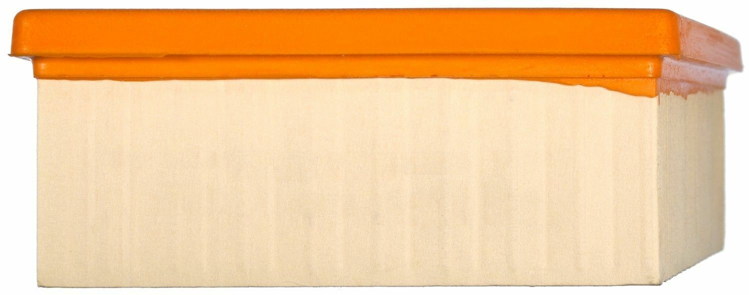 Mahle LX 934 Air Filter