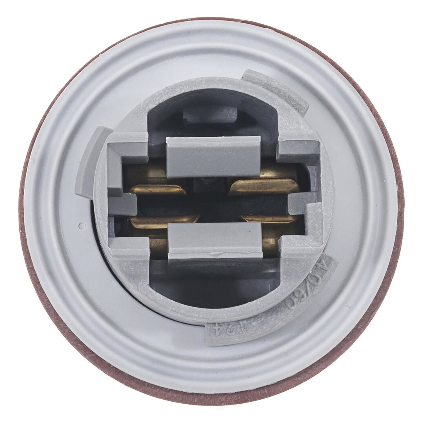 BWD PT2552 Turn Signal Light Socket