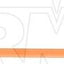 Dorman 921-069 Engine Oil Dipstick