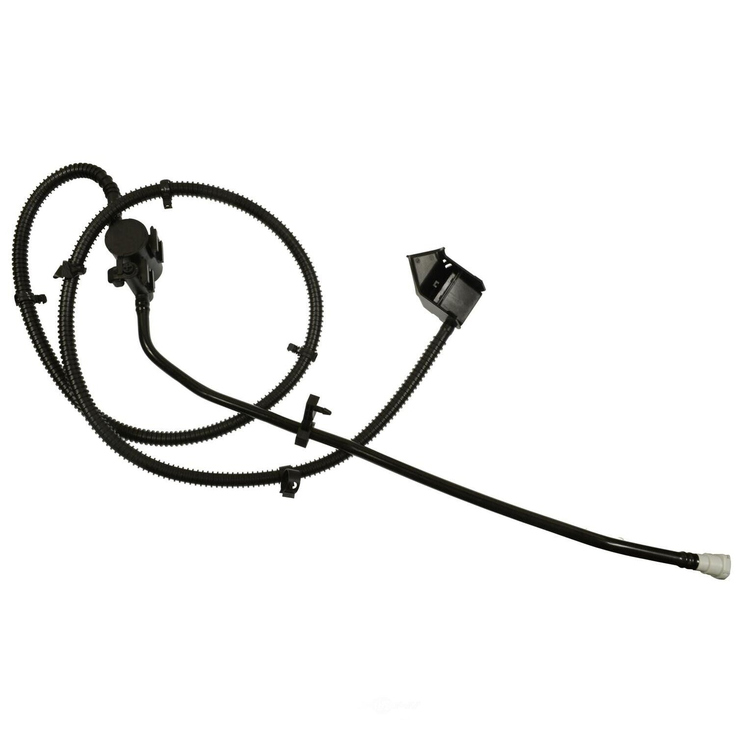 BWD CP1747 Vapor Canister Vent Solenoid