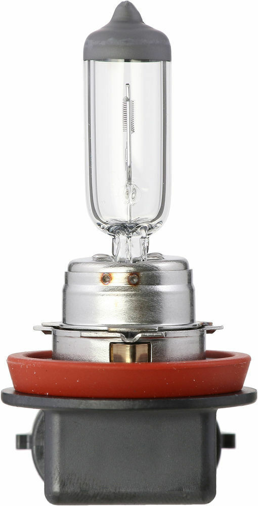 Philips H11MDC1 Headlight Bulb